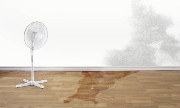 Best Basement water damage restoration  in St George, KS